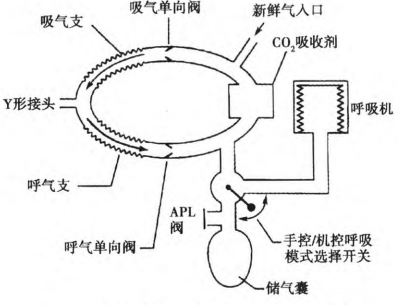 麻醉机内呼吸回路消毒及灭菌的指导建议