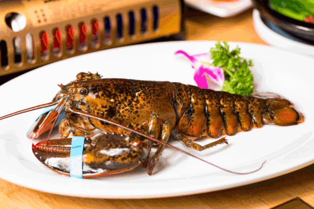 花胶鸡锅6.6元!鲍鱼1元!菜品再同享6.8折!魔都这家打边炉疯了!