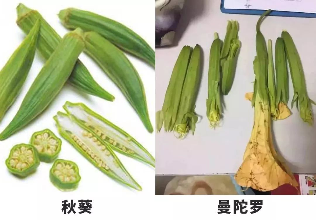 估计这对夫妻应该在菜市场买菜时