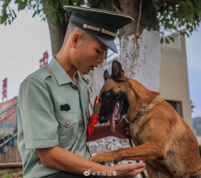 終於到了告別的時刻,陳建含淚將自己的愛犬交託給下一任訓導員,言語中