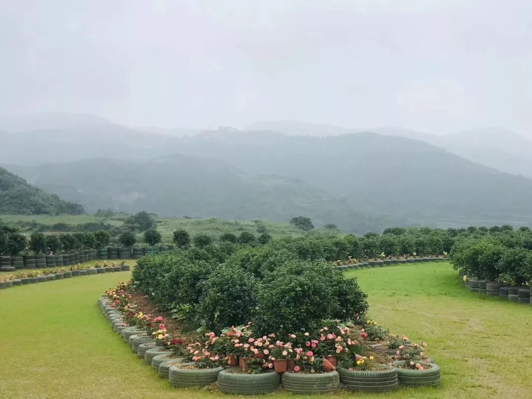 后岭花开园区诚招人才啦