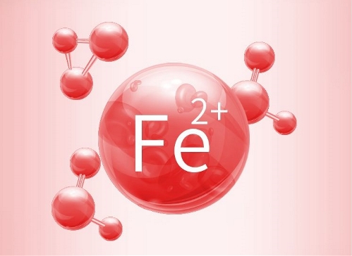 存在食物中的铁分为血红素铁和非血红素铁,也就是二价铁和三价铁.