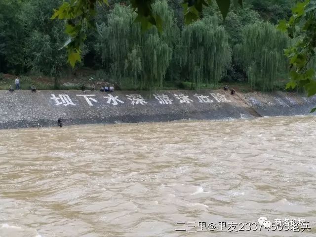视频:二龙山水库泄洪场面壮观,村民罔顾危险下江捞鱼不亦乐乎!_商洛