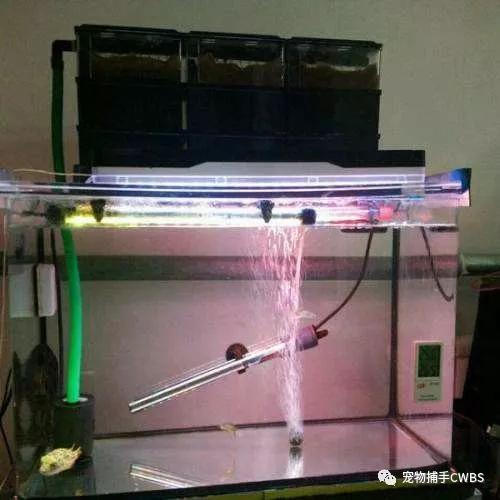 秋天到了,加热棒该如何选择摆放呢?_鱼缸