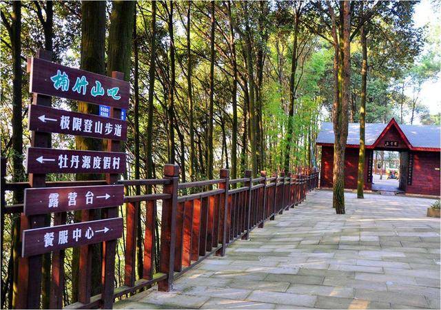 重庆很值得一去的垫江楠竹山特色周边游