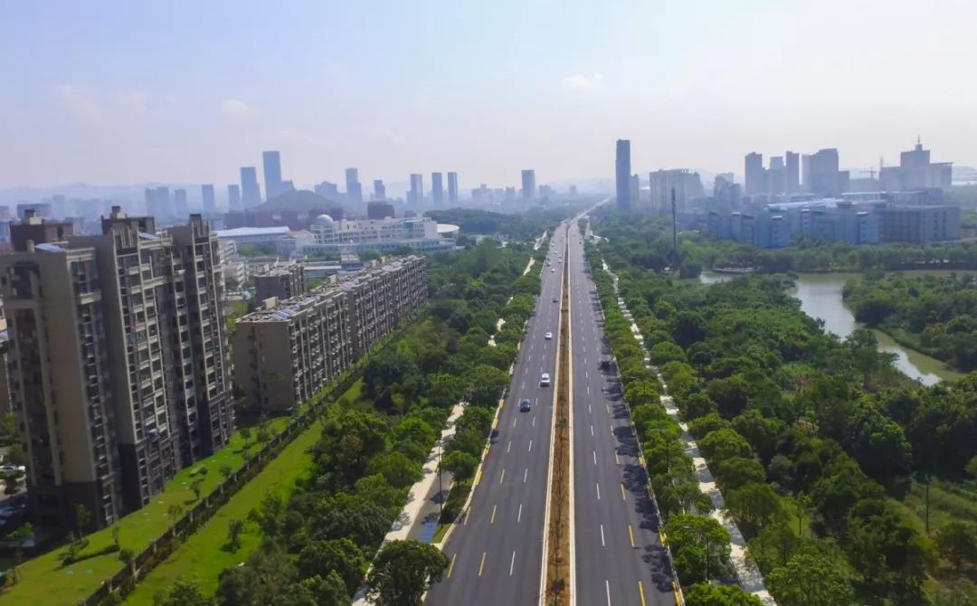 舟山城市迎宾大道9月底即将全线贯通