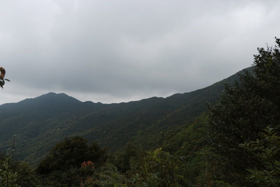 通天蠟燭,聳立於廣東中部,廣州從化與清遠佛崗交界,屬青雲山脈,海拔