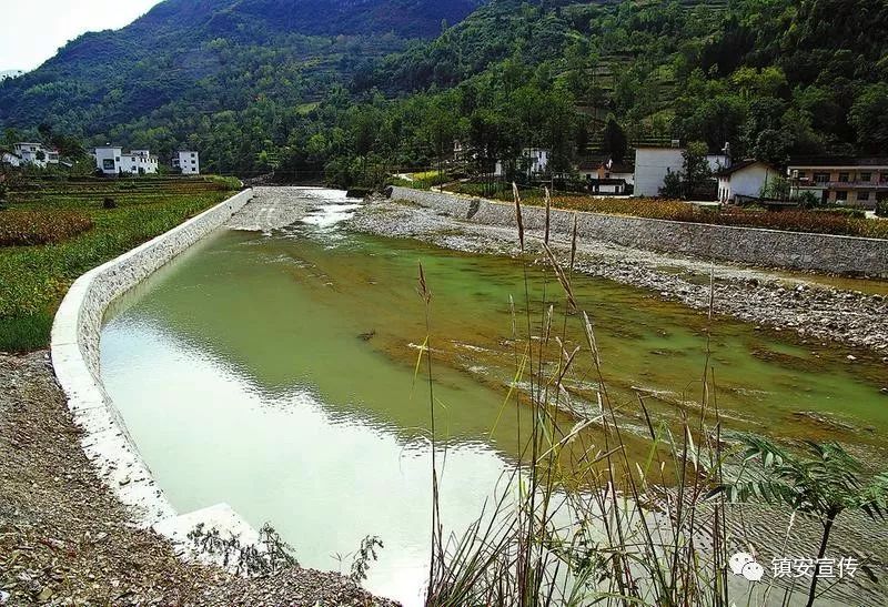 【镇安文艺 余良禧:冷水河之韵