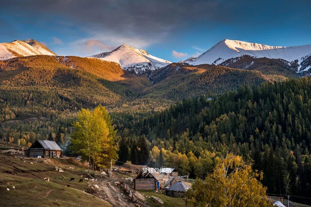 2019年十月深秋初雪喀纳斯白哈巴禾木可可托海白沙湖经典大环游摄影之