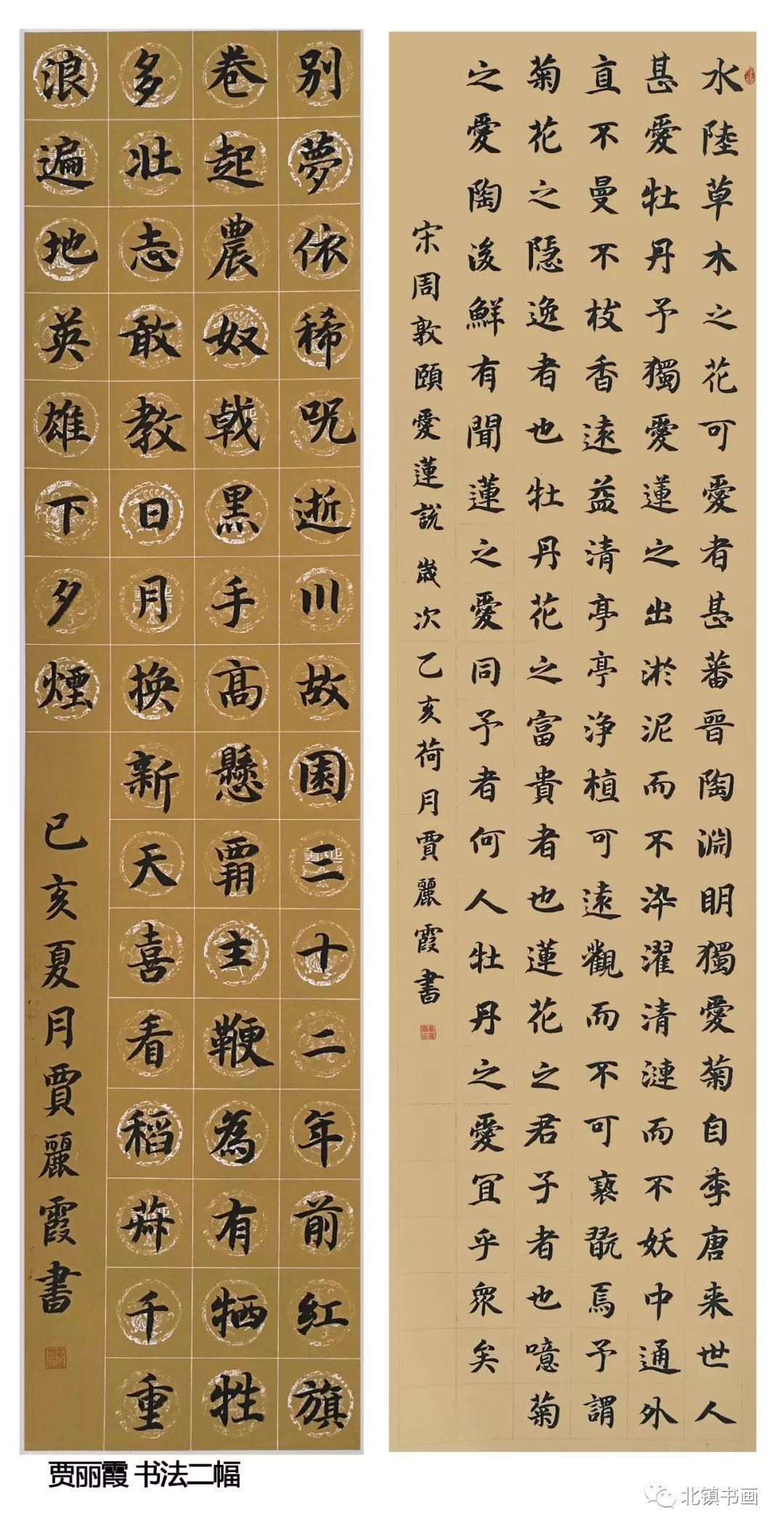 【焦点关注】北镇市政协委员书画摄影剪纸作品展_张波