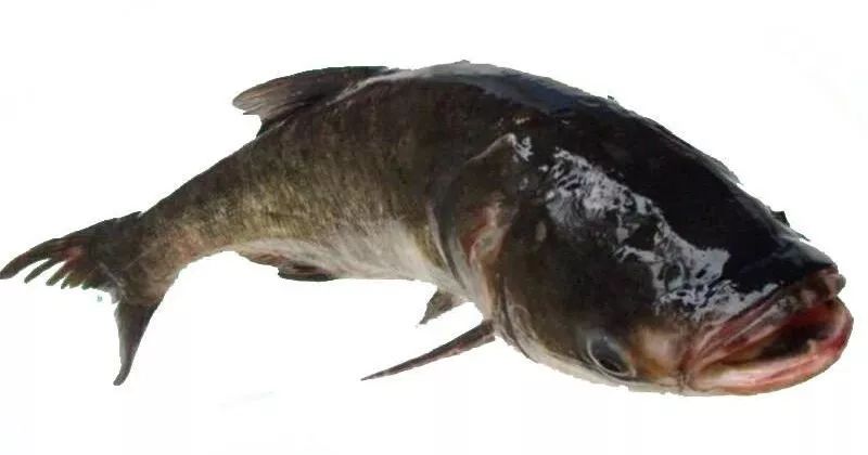 北京唯一一家房山这个新建的主题乐园绝对不容错过