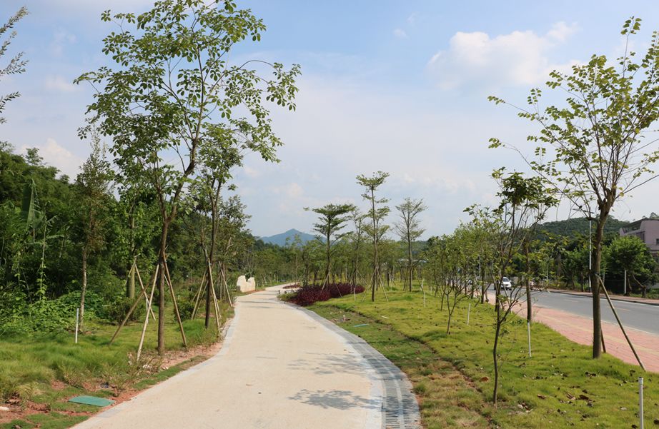 荒地变公园高要乐城镇美颜大变身