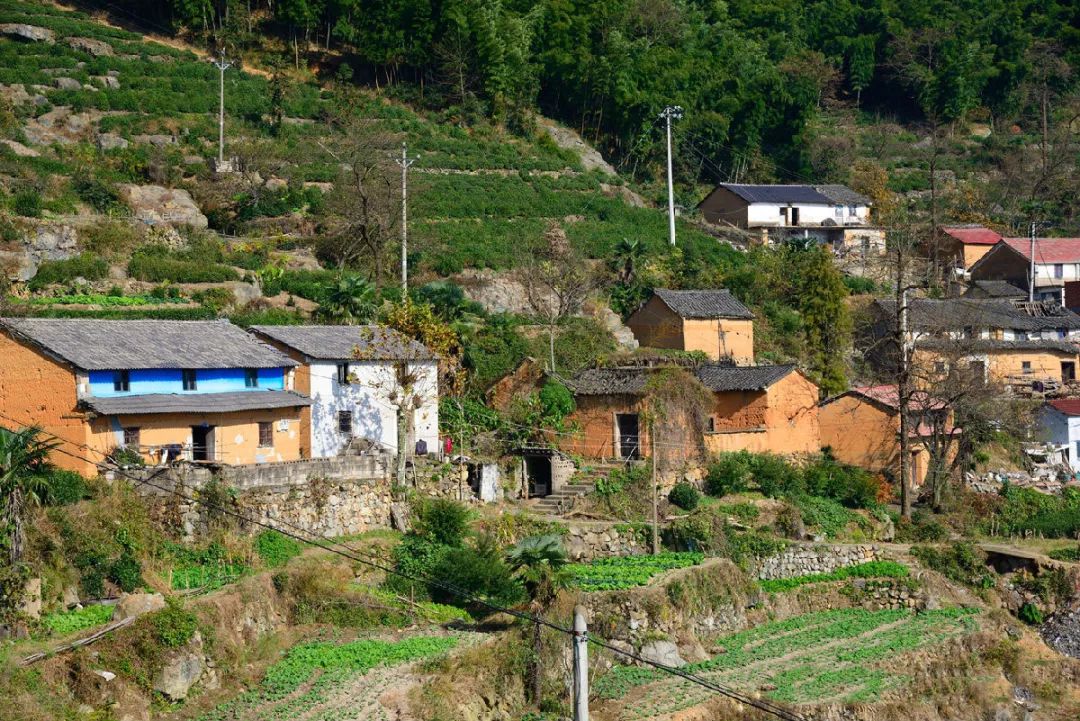 5小时左右)【古道名片】嶀山古道位于嵊州市仙岩镇和三界镇的嶀山