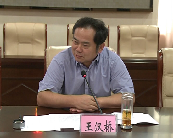 咸宁市省十三届人大代表专题调研赤壁市支持民营企业发展工作_王汉桥