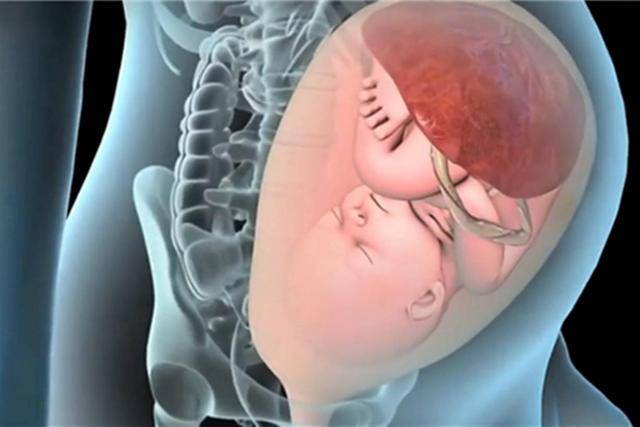 2)宝宝自己努力向前进,并挤入产道