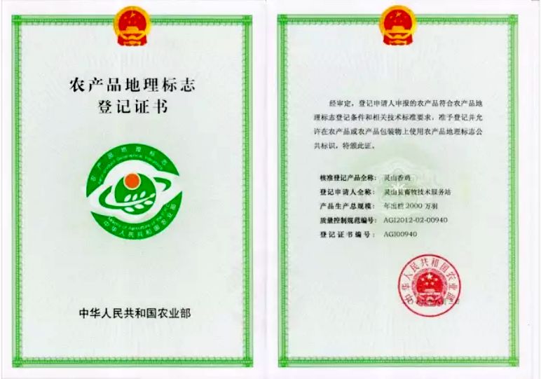 农产品地理标志登记证书(灵山香鸡)育种质量关是前提.