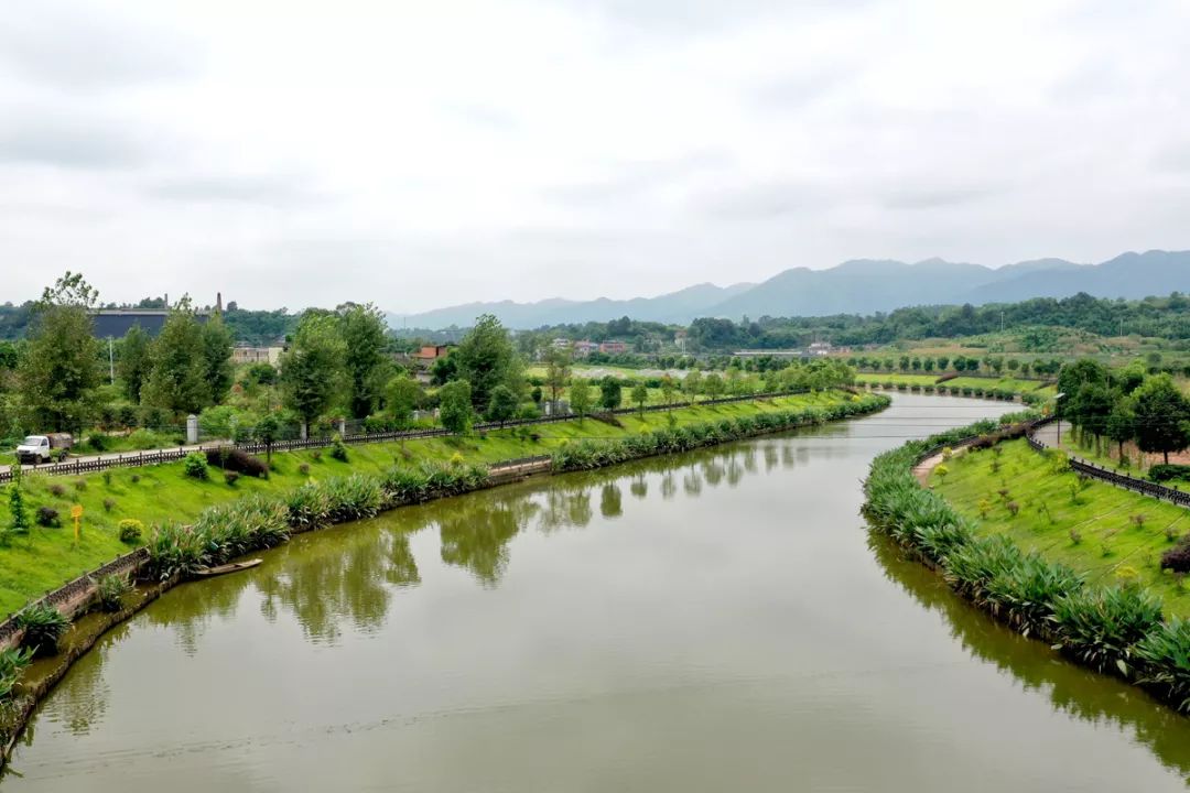 大棚车辆过往井然有序乡村道路干净整洁行走在七塘镇近看绿水环绕村庄