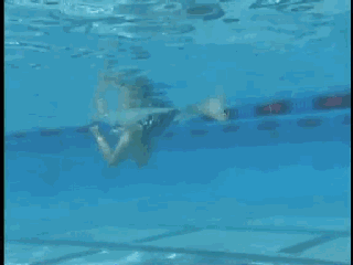 游泳技巧想提高蛙泳游进动力要做到蹬夹动作合二为一