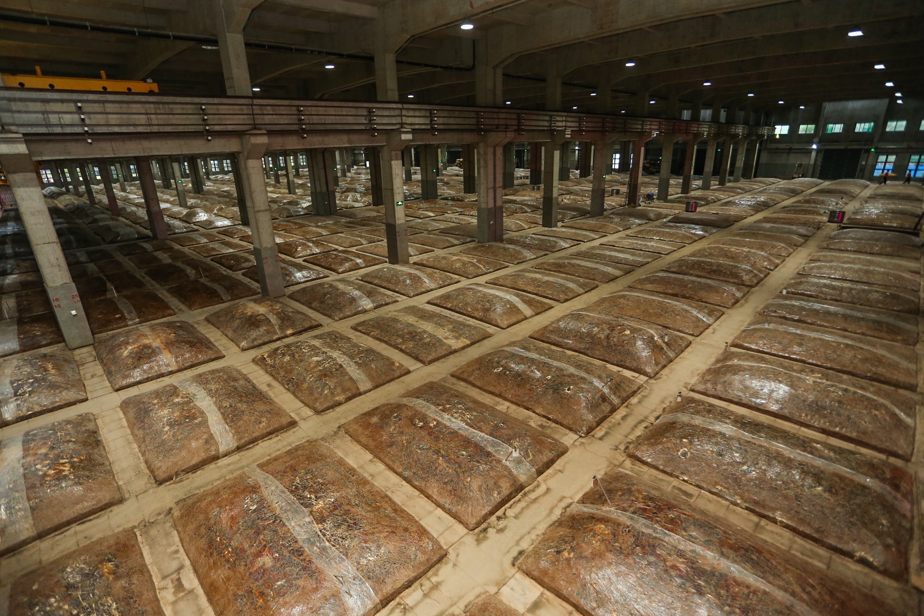 郎牌特曲秋酿开窖汪俊林孟非为孟非窖池开窖现场签署孟非代言郎牌特曲