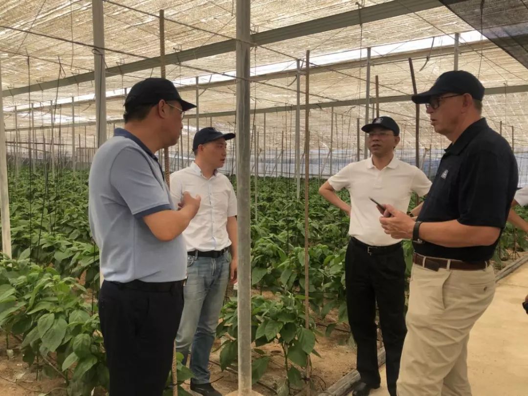 林昌斌应邀考察雅苒国际