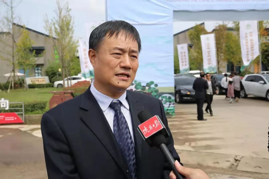 重磅| 周至猕猴桃咋发展,县长如是说!