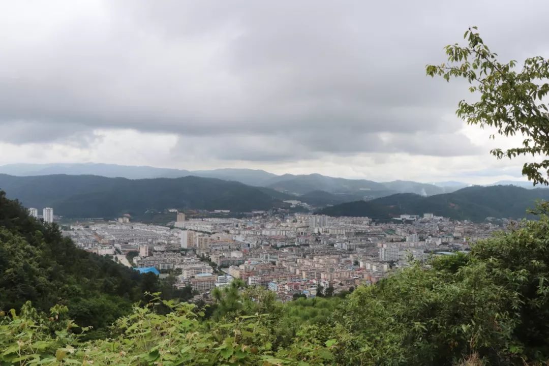 他们扛着锄头去峨山十里长廊,竟是