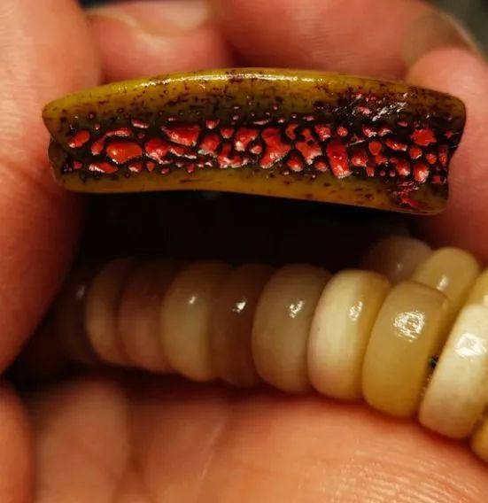 驼骨包浆后比玉石还要漂亮