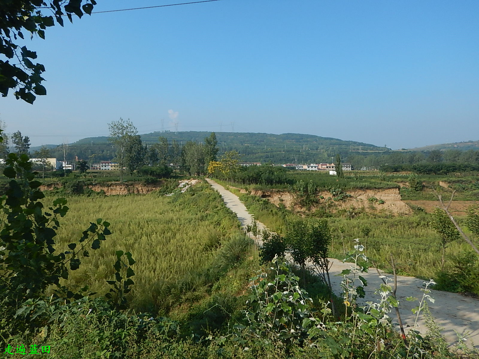 走遍蓝田2019焦岱镇柳家湾村穿越旅行5