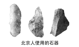 (2)观察《北京人使用的石器》,你会发现北京人制作的石器有何特征?