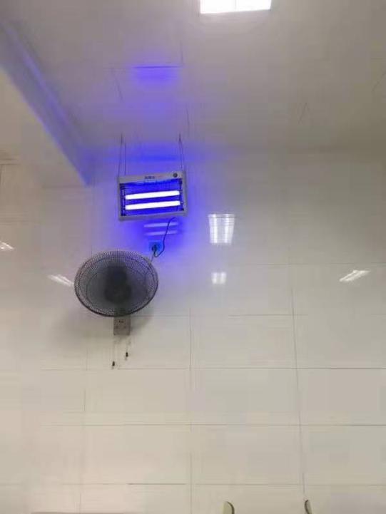 科普 | 灭蝇灯怎样使用才正确?店家快收藏!
