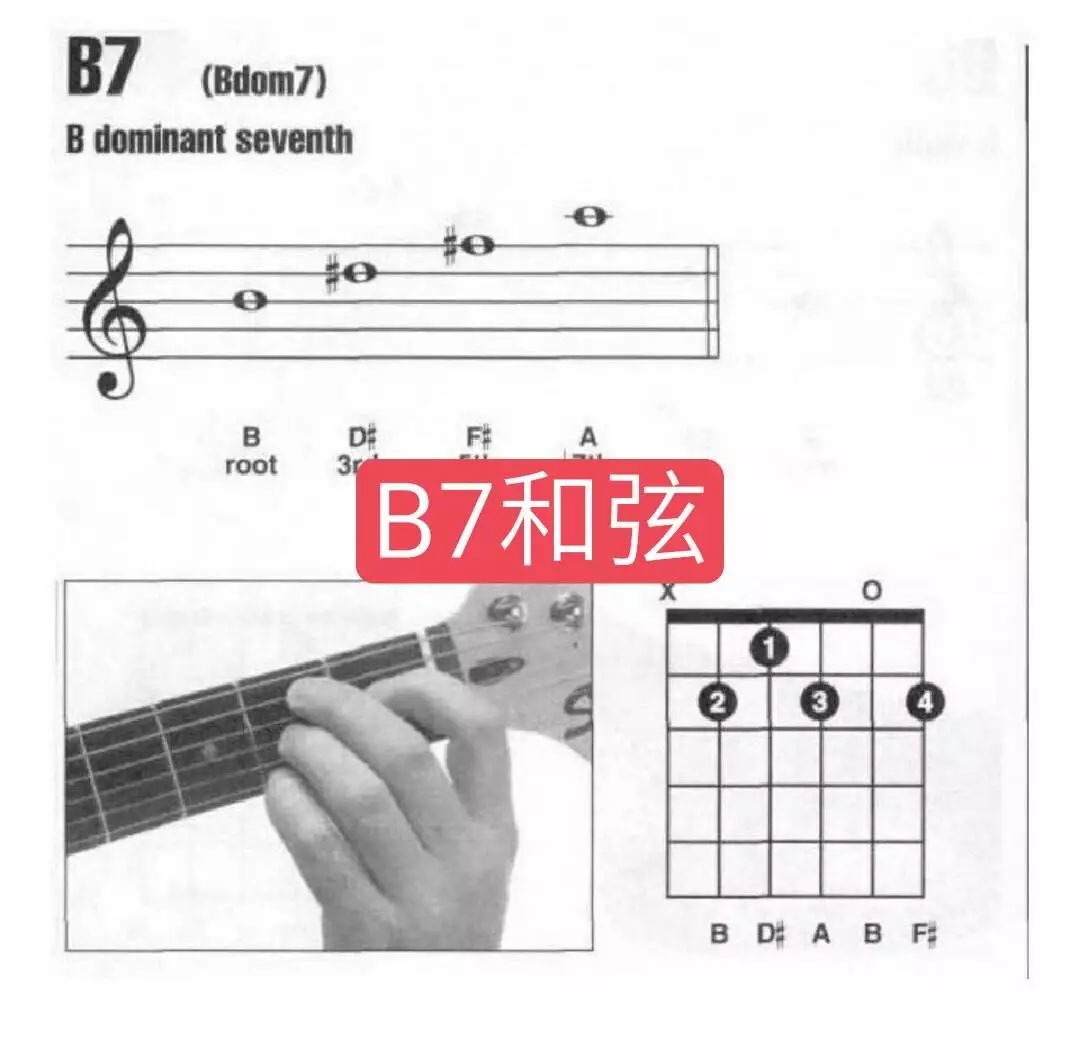 B7和弦指法图图片