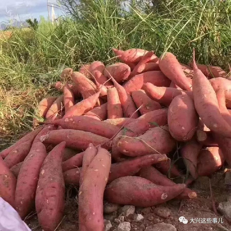 限时抢购独家优惠卡莫瑜伽周卡晓寿司双人餐秒杀活动来啦