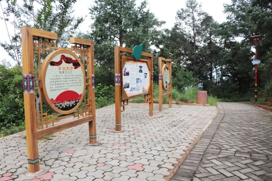 他们扛着锄头去峨山十里长廊,竟是