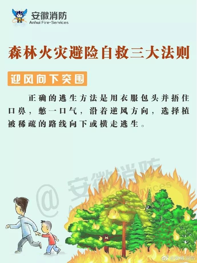 森林火灾避险自救三大法则