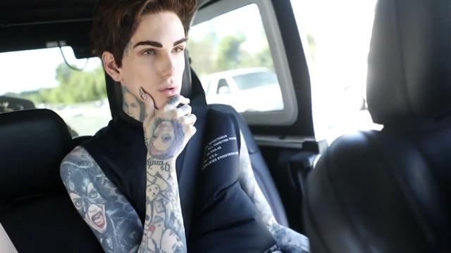 当男装成型的那一刻,不仅j姐震惊了,观众震惊了,连j姐家的狗都吓了一