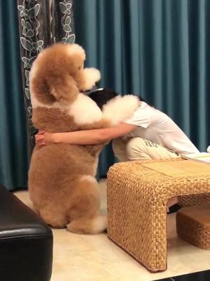 不管麻麻在干嘛它睡醒都必须先要麻麻抱一抱家有萌宠