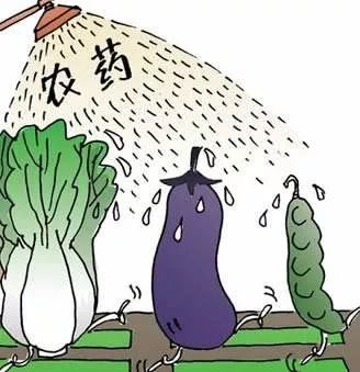 农林fm如何合理的选用农药