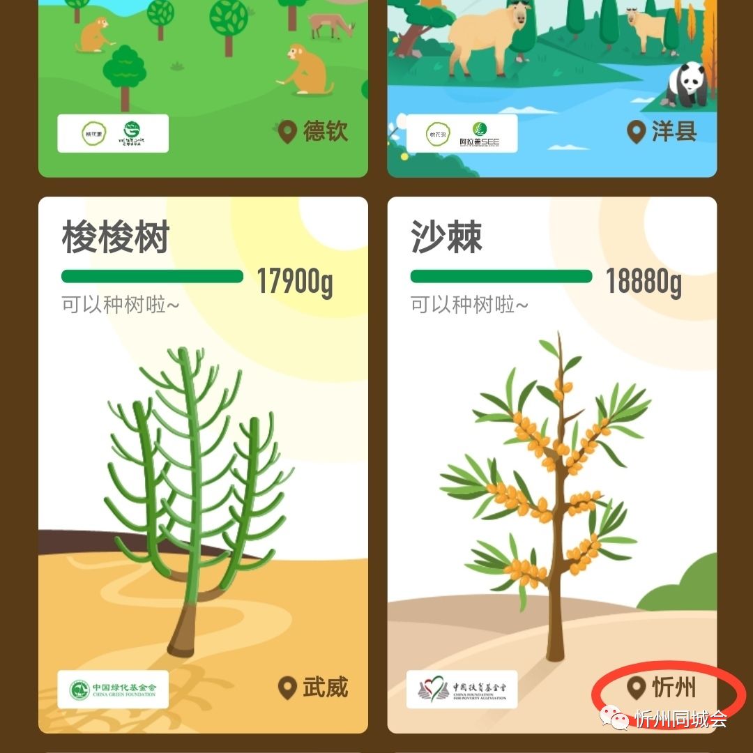 忻州也能用螞蟻森林種樹啦趕快行動為家鄉種樹