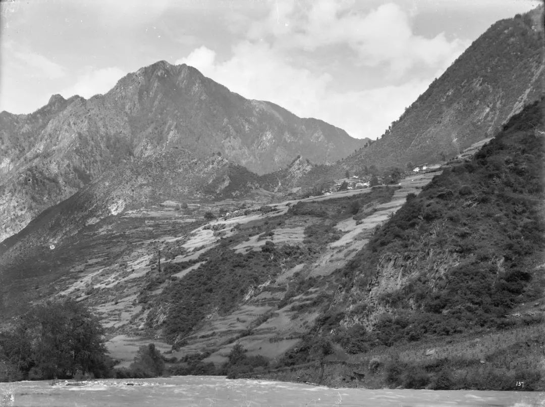 丹巴藏族村寨和柏木树老照片,丹巴井备村