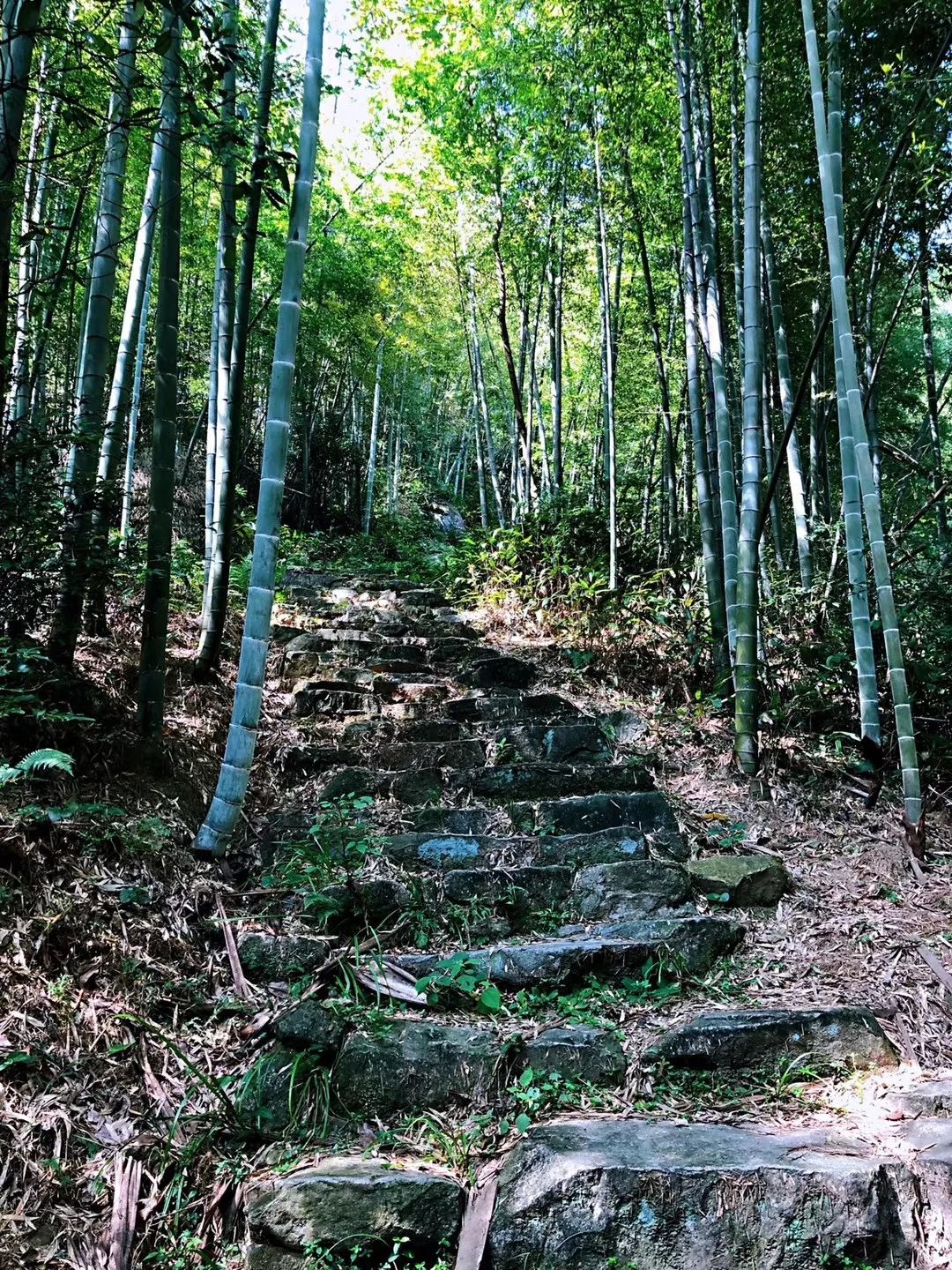 免费活动922徒步最美登山道萧山戴村国家登山步道环线comeon约起