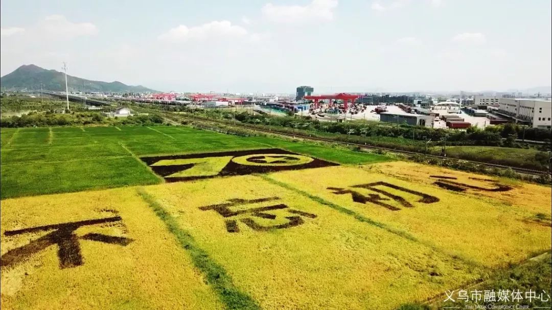 义乌这块彩色稻田惊艳了这个夏天_图案
