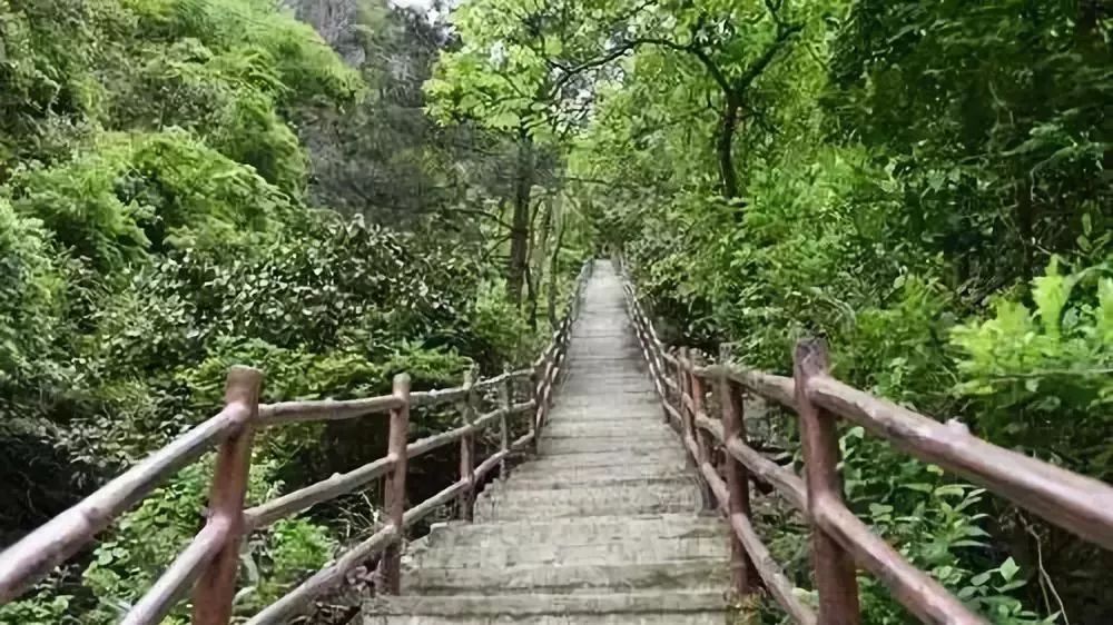 9月28日桐鄉自組團火爆網紅打卡地-靈溪山風景區 空中飛碟 徑山花海