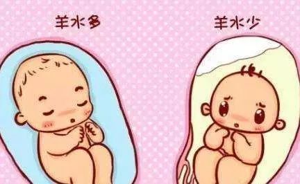 兒童健康 | 孕期破水,孩子會不會有生命危險?_羊水