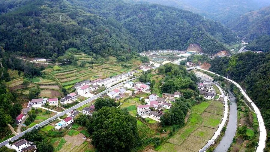 安康这个县获省级荣誉,还有一波投资补助……_农村