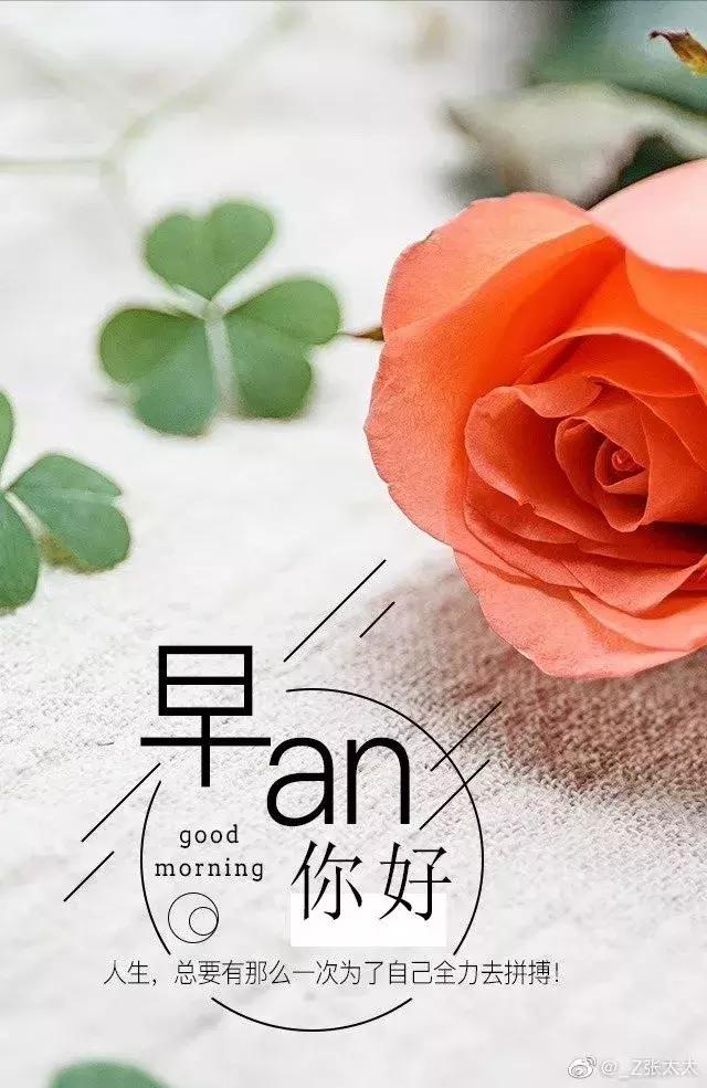 早安问候人生没有无用的经历没有白费的努力共勉早安