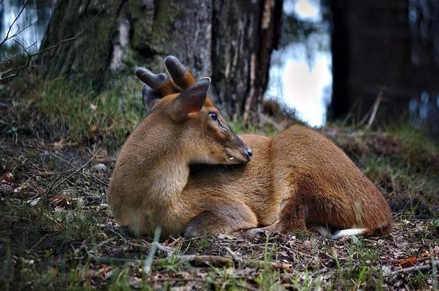 原创中国有个景区跨越两省,门票相同,一个是5a级另一个却只有4a