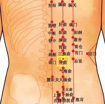 咳嗽拔罐部位图解图片