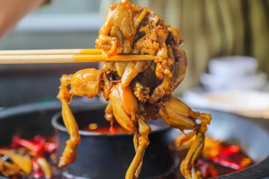 肥东不给叫美蛙新品上市!肤白貌美!肥东这家店让老饕们瑟瑟发抖!_牛蛙