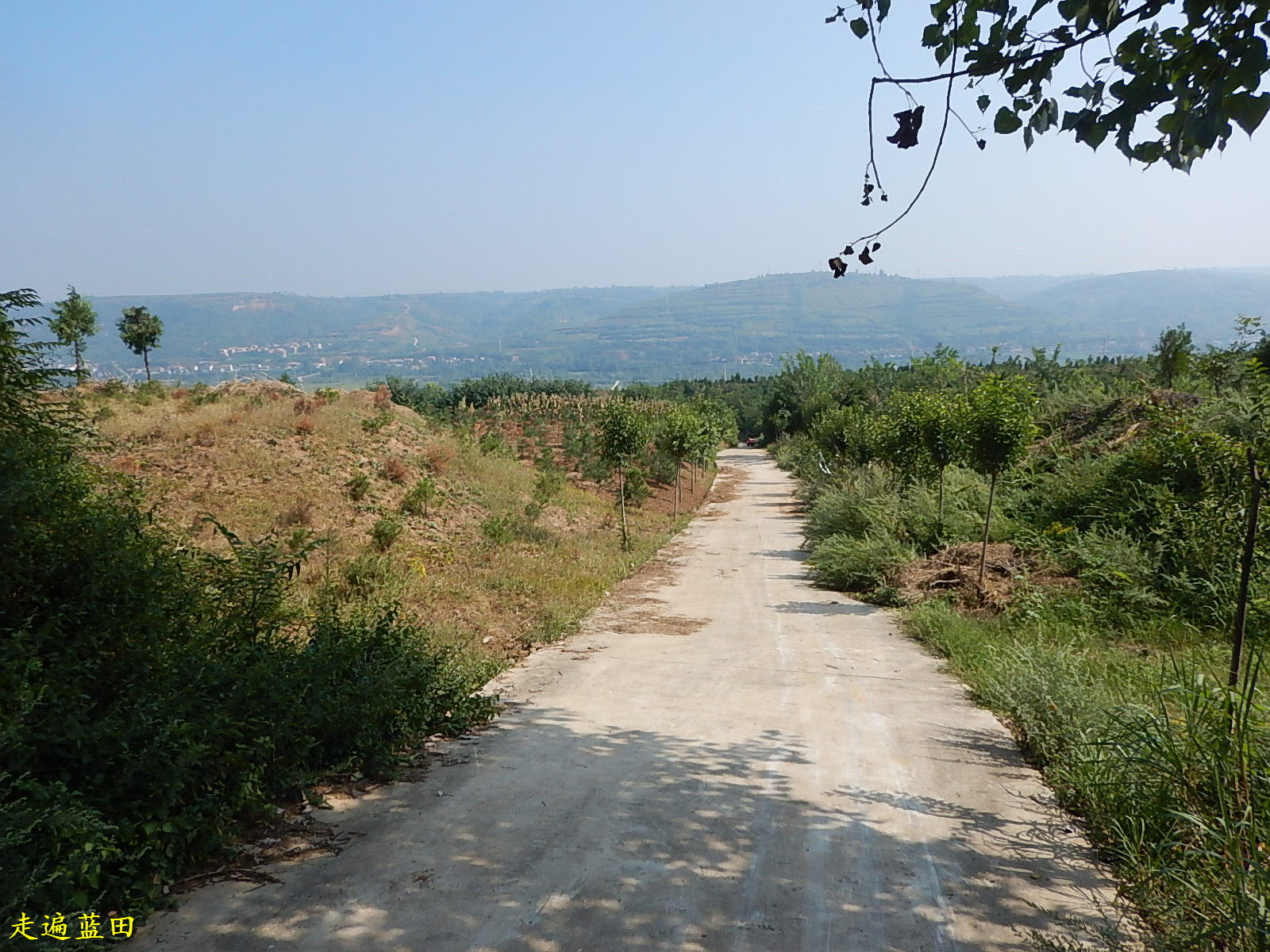 走遍蓝田2019焦岱镇柳家湾村穿越旅行6