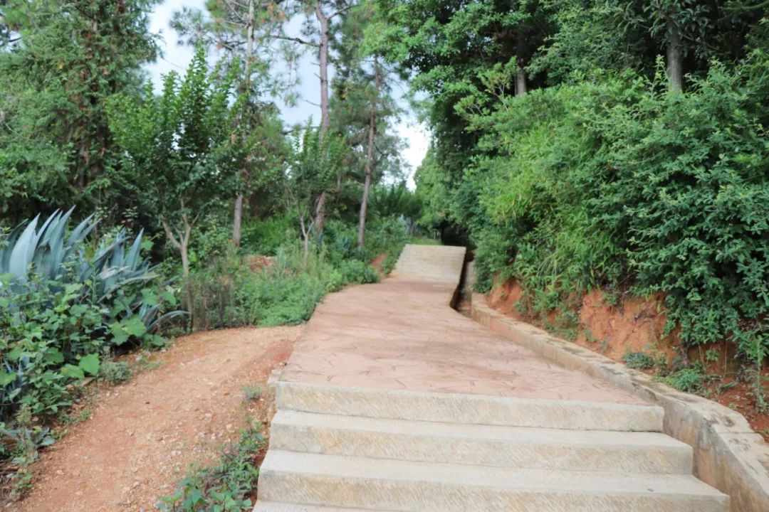 他们扛着锄头去峨山十里长廊,竟是